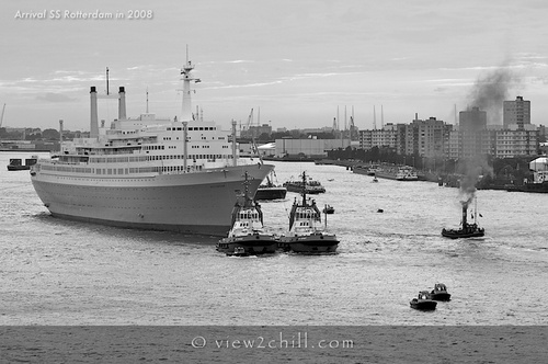 Product picture SS Rotterdam Arrival in Rotterdam (2008)